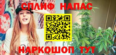 винт Будённовск